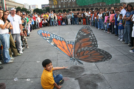 3D Butterfly Pavement Art by Julian Beever
